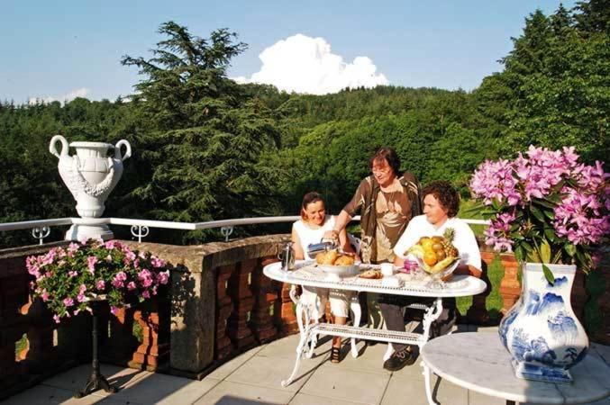 Bed and Breakfast Domaine De Gaudon Ceilloux Экстерьер фото